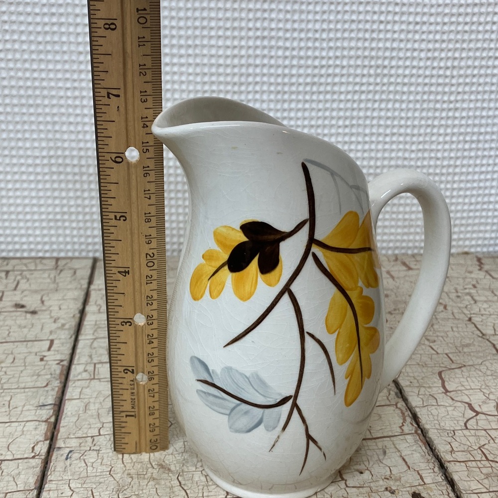 Pitcher - Picture 7 of 7